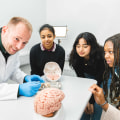 Studying Psychology in the UK: Tips, Resources, and Career Paths