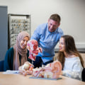 A Comprehensive Look into Studying Psychology in the UK
