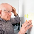 A Comprehensive Look at Paper 1: Memory, Perception, and Development